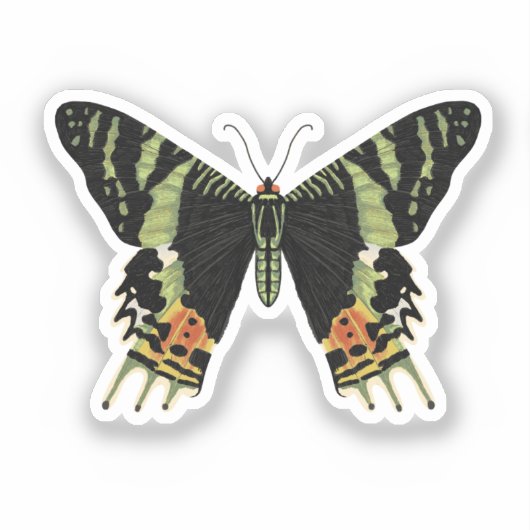 Madagascan Sunset Moth Aufkleber (Vorderseite)