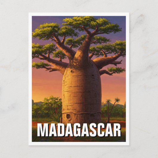 Madagascar Baobab Tree Travel Postkarte (Vorderseite)