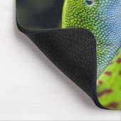 Madagascar day gecko mousepad (Ecke)