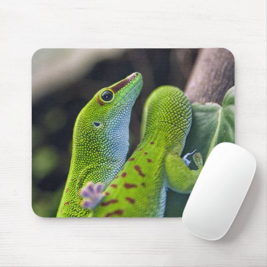 Madagascar day gecko mousepad (Mit Mouse)
