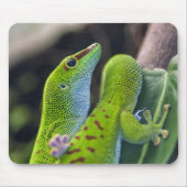 Madagascar day gecko mousepad (Vorne)