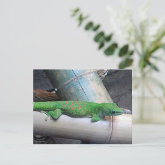 Madagascar Gecko Postcard Postkarte (Stehend Vorderseite)