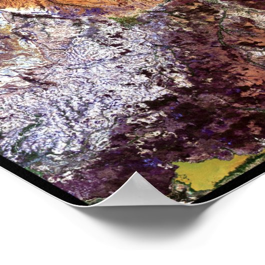 Madagascar Jellyfish Poster (Ecke)