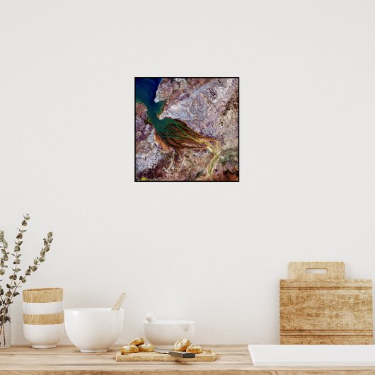 Madagascar Jellyfish Poster (Küche)