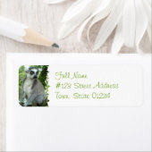 Madagascar Lemur Rücksendeadresse (Insitu)