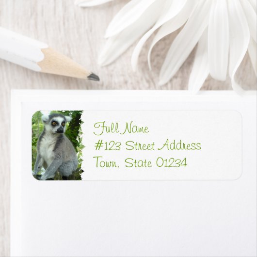 Madagascar Lemur Rücksendeadresse (Insitu)