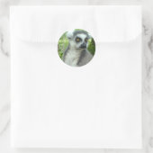 Madagascar Lemur Stickers (Tasche)