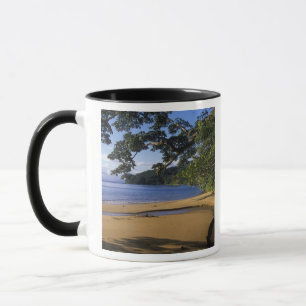Madagascar, Nosy Mangabe Special Reserve, auf Tasse