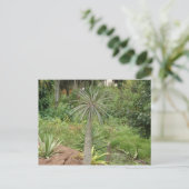 Madagascar Palm Postcard Postkarte (Stehend Vorderseite)