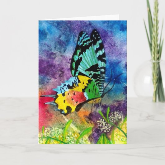 Madagascar Splash Profil Karte (Vorderseite)