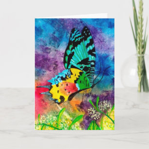 Madagascar Splash Profil Karte