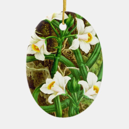 Madagascar Vanilla Orchid Keramikornament (Vorne)