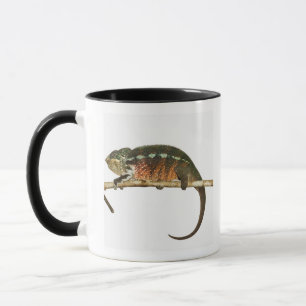 Madagaskar 2 tasse