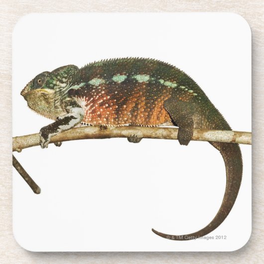 Madagaskar 2 untersetzer (Vorderseite)