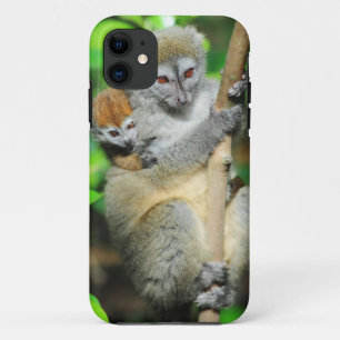 Madagaskar, Andasibe, Ile Aux Lemuriens, Mutter iPhone 11 Hülle