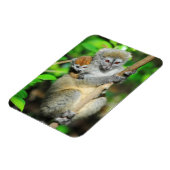 Madagaskar, Andasibe, Ile Aux Lemuriens, Mutter Magnet (Linke Seite)