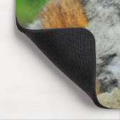 Madagaskar, Andasibe, Ile Aux Lemuriens, Mutter Mousepad (Ecke)