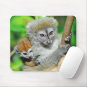 Madagaskar, Andasibe, Ile Aux Lemuriens, Mutter Mousepad (Mit Mouse)