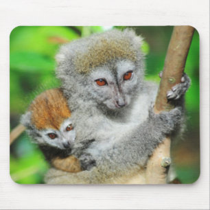 Madagaskar, Andasibe, Ile Aux Lemuriens, Mutter Mousepad