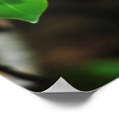 Madagaskar, Andasibe, Ile Aux Lemuriens, Mutter Poster (Ecke)