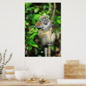 Madagaskar, Andasibe, Ile Aux Lemuriens, Mutter Poster (Küche)