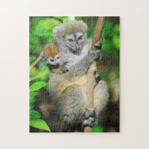 Madagaskar, Andasibe, Ile Aux Lemuriens, Mutter Puzzle