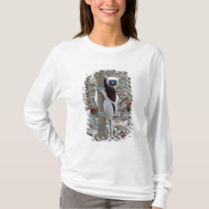 Madagaskar, Ankarafantsika-Reservat; Ampijoroa; T-Shirt