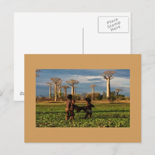 Madagaskar Baobab Postkarte (Vorne/Hinten)