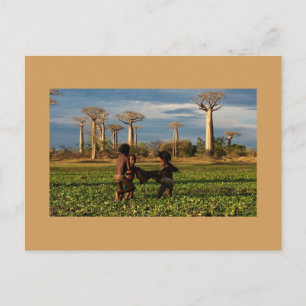 Madagaskar Baobab Postkarte