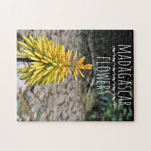 Madagaskar-Blume-Puzzle Puzzle (Horizontal)
