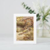Madagaskar-Boa Postkarte (Stehend Vorderseite)