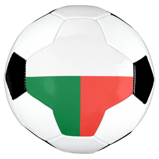 Madagaskar-Flagge Fußball (Gedreht)