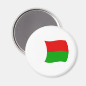 Madagaskar Flagge Magnet (Vorderseite/Rückseite)