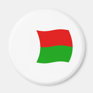 Madagaskar Flagge Magnet