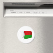 Madagaskar Flagge Magnet (In Situ (Geschirrspüler))