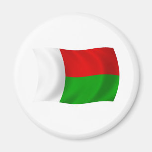 Madagaskar Flagge Magnet