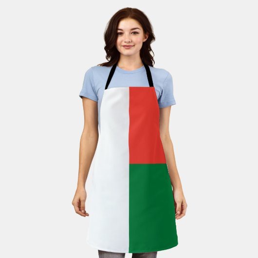 Madagaskar-Flagge Schürze (Getragen)