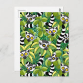 Madagaskar-Lemuren im Exotischen Dschungel Postkarte (Vorne/Hinten)