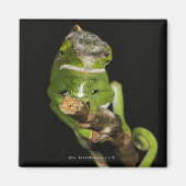 Madagaskar Magnet (Vorne)