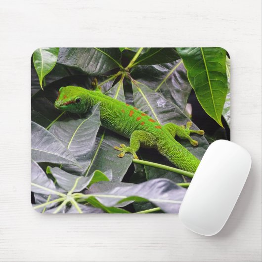 Madagaskar Mousepad (Mit Mouse)