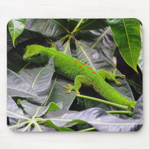 Madagaskar Mousepad