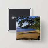 Madagaskar, Nosy Mangabe Special Reserve, Button (Vorne & Hinten)