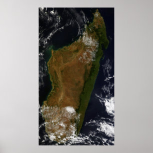 Madagaskar Poster