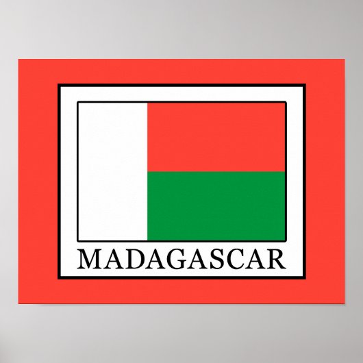 Madagaskar Poster (Vorne)