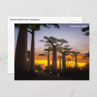 Madagaskar Postkarte