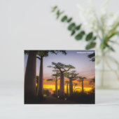 Madagaskar Postkarte (Stehend Vorderseite)