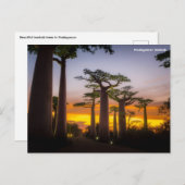 Madagaskar Postkarte (Vorne/Hinten)