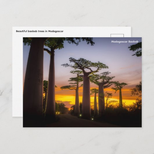 Madagaskar Postkarte (Vorne/Hinten)