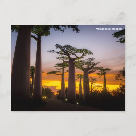 Madagaskar Postkarte (Vorderseite)