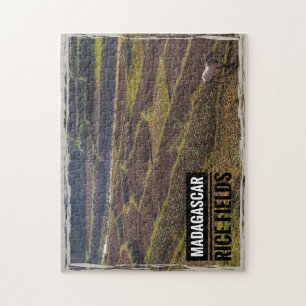 Madagaskar Reisfeld mit Ziege Puzzle